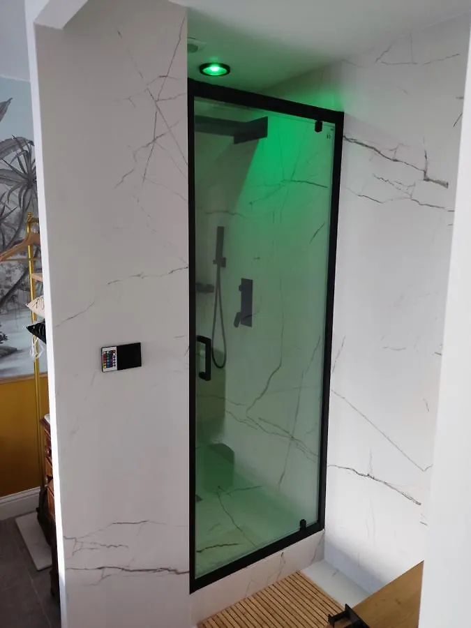 Superbe Appartement Avec Jacuzzi Avec Jardin Prive Lyon